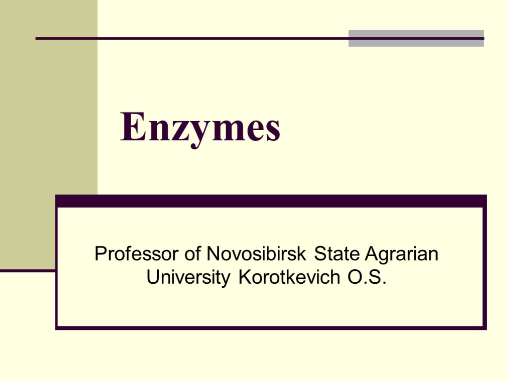 Enzymes Professor of Novosibirsk State Agrarian University Korotkevich O.S.